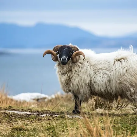 Sjoberg Og Ferie *